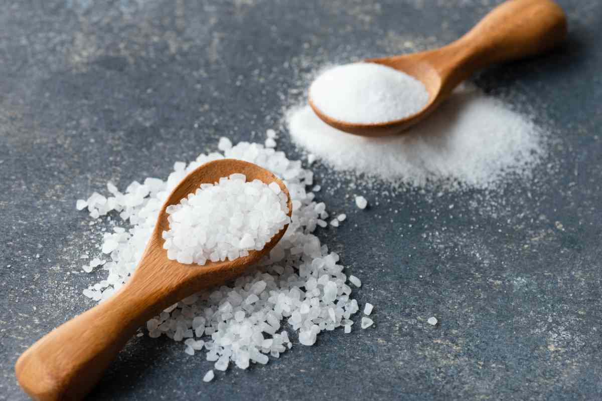 Pasta come gli chef? Attenzione al sale: l’errore comune rovina il piatto più amato d’Italia